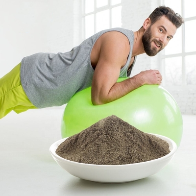 Polvere organica della proteina del vegano di obesità di supplemento della polvere della proteina di alta qualità dell'OEM