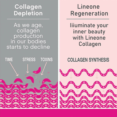 I prodotti di bellezza della polvere della bevanda proteica del collagene dell'OEM hanno idrolizzato il peptide del collagene del collagene del pesce