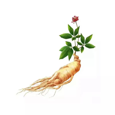 Fornitore di fabbrica Thailandia Black Ginger Powder OEM Capsula e compresse per l'assistenza sanitaria maschile