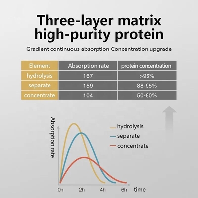 OEM/ODM Proteine ​​del siero di latte Polvere Nutrizione Polvere Fitness Esercizio Aumento Muscolo Veloce Aumento di peso Creatina in polvere