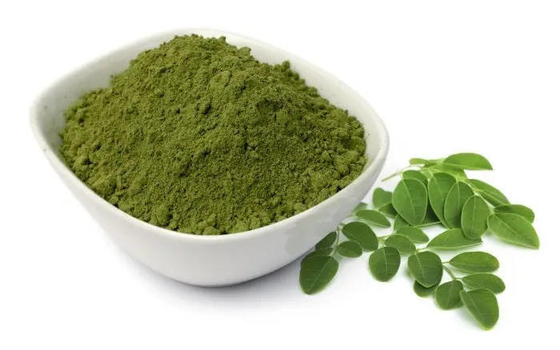 Le etichette che private della polvere dell'OEM Moringa moringa incapsula organico personalizzano la polvere della foglia di moringa