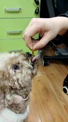 Olio di pesce nutrizionale di supplemento di salute dell'animale domestico dell'OEM per i cani ed i gatti Omega 3
