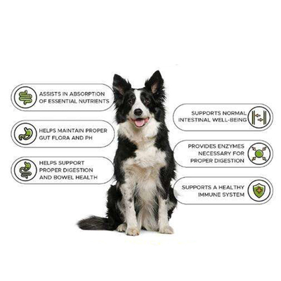 Supplemento di formazione della proteina di Dog Weight Gain del costruttore di guadagno del muscolo di salute di supplemento della compressa di guadagno di Nutrit dell'animale domestico dell'OEM Natur