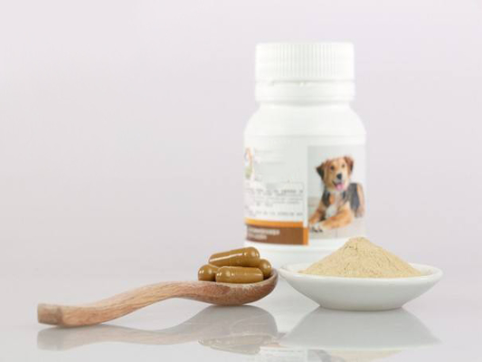 Supplementi nutrizionali dell'animale domestico dell'OEM