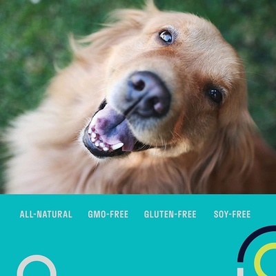 Supplemento probiotico quotidiano libero dell'OEM del grano nutrizionale di supplementi dell'animale domestico dei multivitaminici per i cani