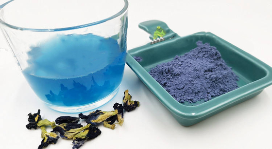 OEM blu secco naturale di erbe di Pea Flower Tea della farfalla