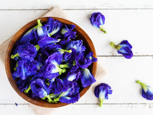 OEM blu secco naturale di erbe di Pea Flower Tea della farfalla