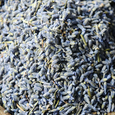 Alternativa sana di erbe al tè della lavanda secco fiori secco tè