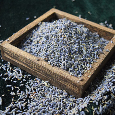 Alternativa sana di erbe al tè della lavanda secco fiori secco tè