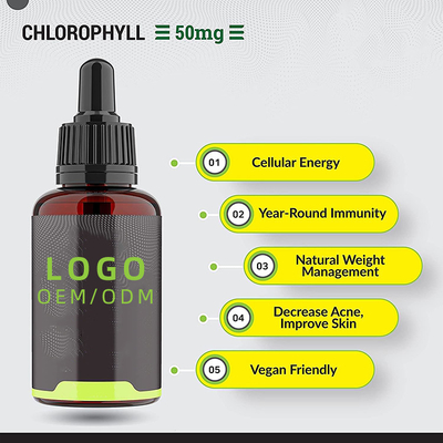 Gocce liquide della clorofilla di OEM/ODM per la menta piperita dell'acqua condita per supplemento di energia di sostegno immunitario di salute della pelle