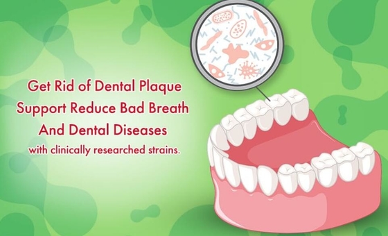 Sugar Free Oral Probiotic Bubble che le losanghe riducono in pani 3 miliardo CFU per i denti gomma la salute ed il respiro fresco