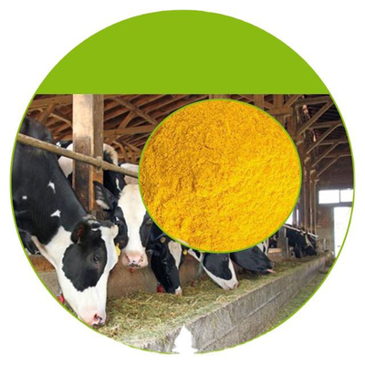 Supplementi nutrizionali delle donne dell'olio della vitamina E per salute delle donne e degli uomini