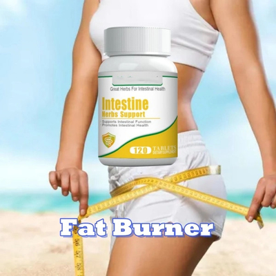 Etichetta privata Donna Fat Burner Pillole dietetiche Maglia magra Salute Alimenti Donne Supplementi nutrizionali