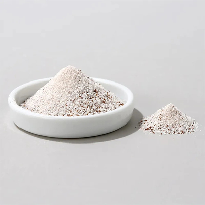 OEM Gluta Forma Peso del corpo Perdita di peso Probiotici SOD Enzimi Polvere Alimenti Sanità