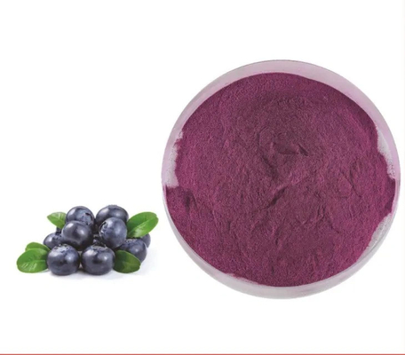 Estratto di frutta naturale Bevande solide istantanee Succo di mirtillo in polvere