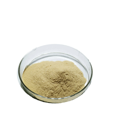 Supplemento naturale Estratto di foglia di tè verde di alta qualità 98% Polvere di polifenoli di tè