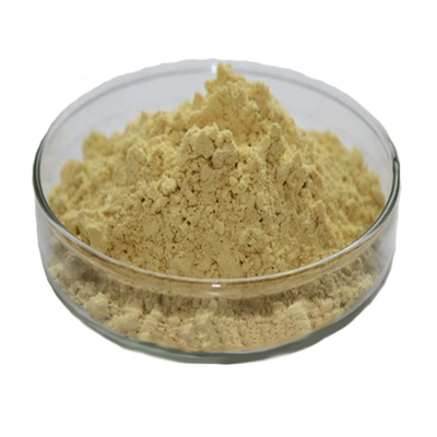 Supplemento naturale Estratto di foglia di tè verde di alta qualità 98% Polvere di polifenoli di tè