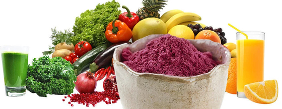 Produttore Fornitura Vendita a caldo Acqua solubile Succo di mirtillo istantaneo in polvere Polvere di frutta